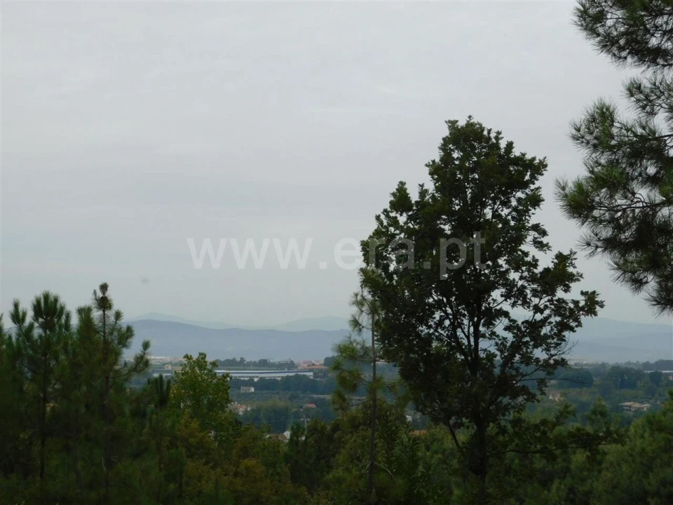 Terreno para Venda em Alcaide Foto 16