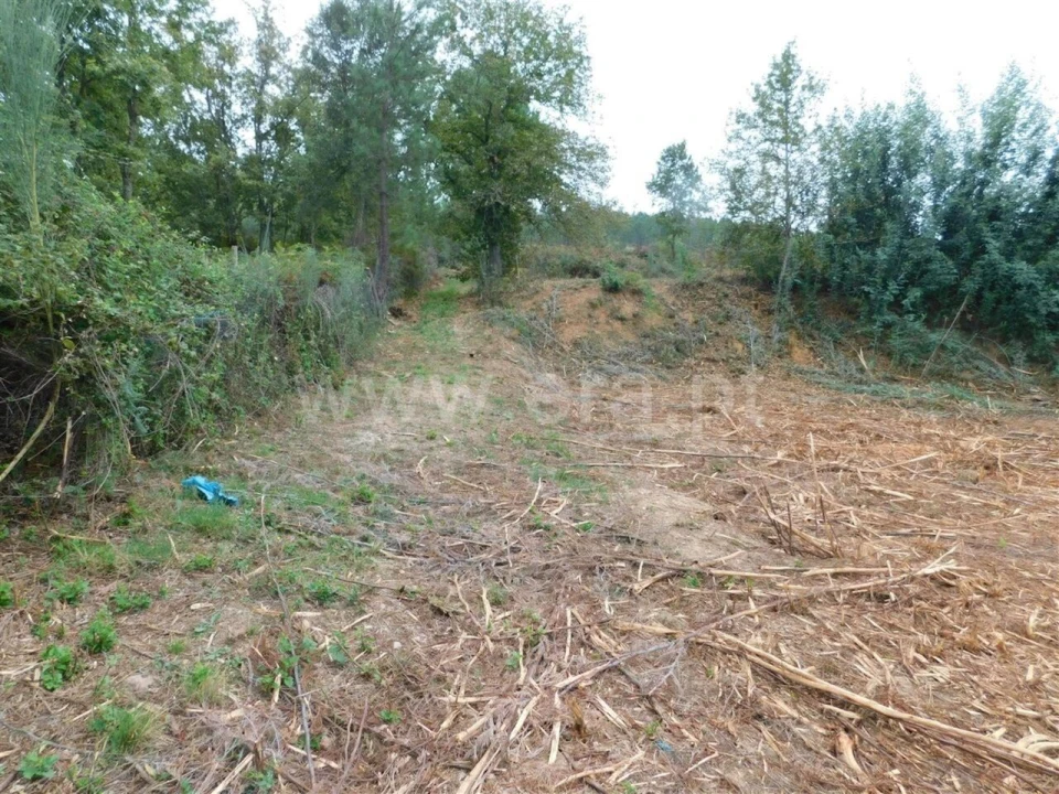 Terreno para Venda em Alcaide Foto 8