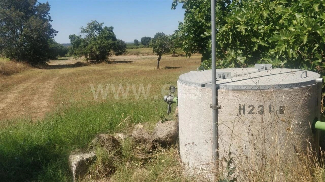 Terreno para Venda em Capinha Foto 5