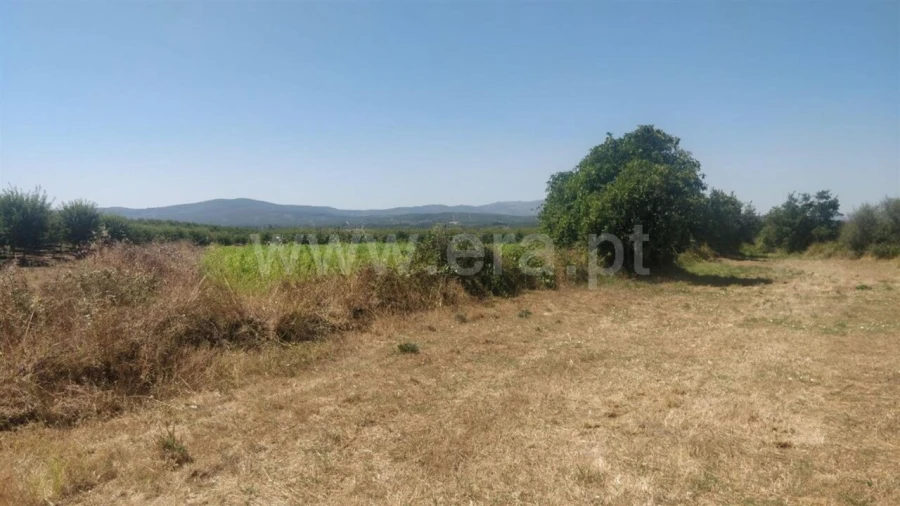 Terreno para Venda em Capinha Foto 3