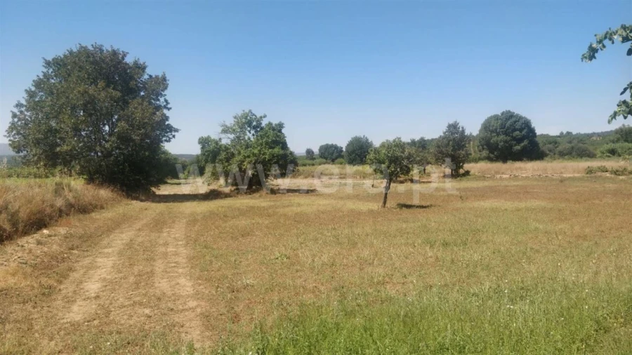 Terreno para Venda em Capinha Foto 2