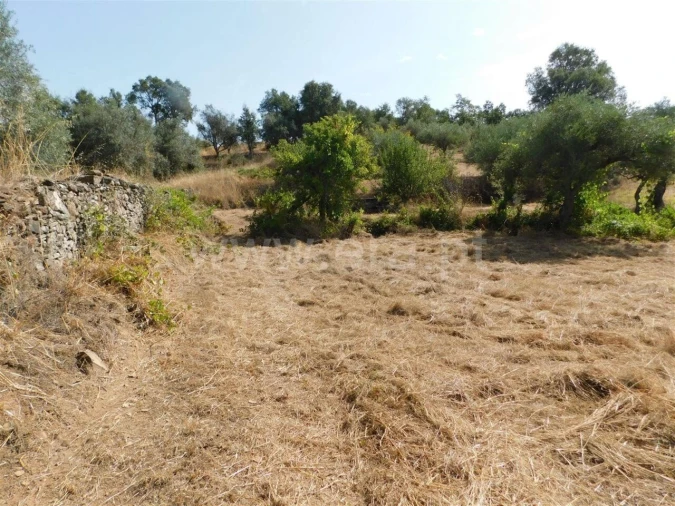 Terreno para Venda em Capinha Foto 3