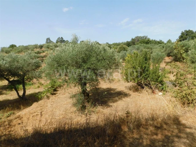 Terreno para Venda em Capinha Foto 6