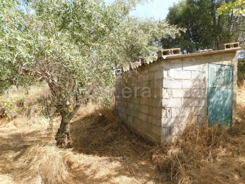 Terreno para Venda em Capinha Foto 5
