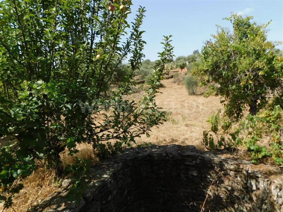 Terreno para Venda em Capinha Foto 4