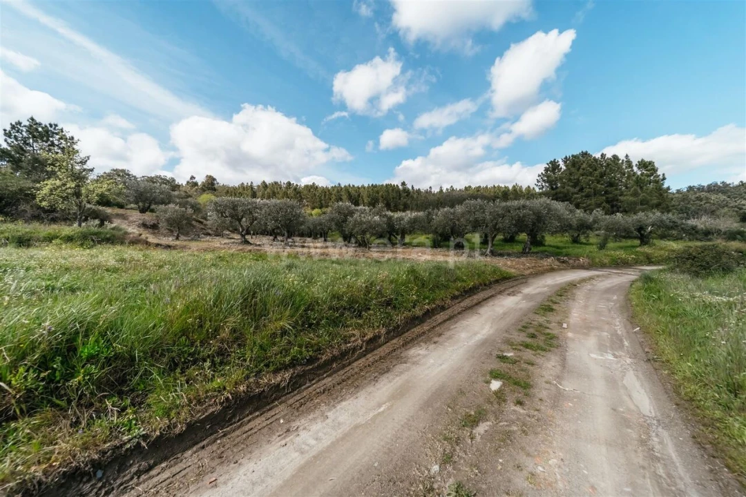 Terreno para Venda em Castelejo Foto 6