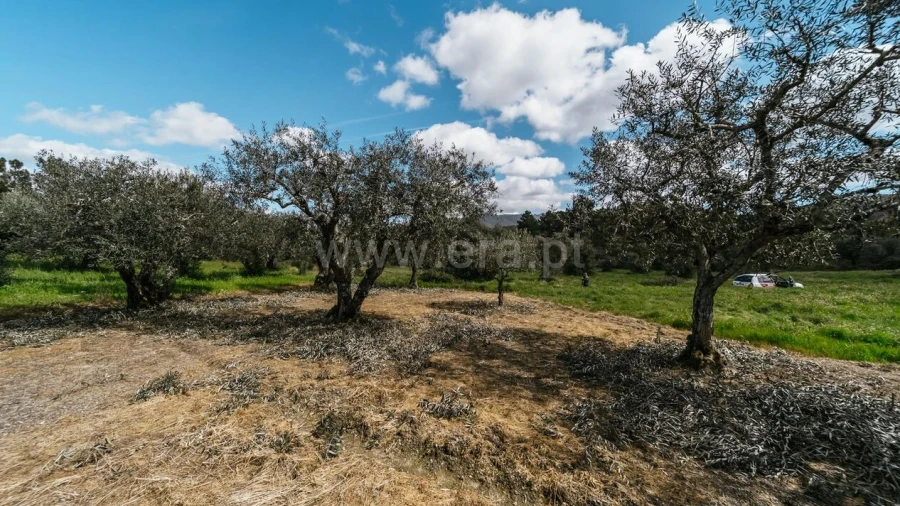 Terreno para Venda em Castelejo