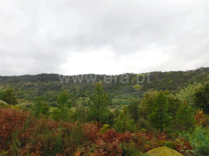 Terreno para Venda em Pero Viseu Foto 5