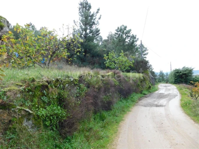 Terreno para Venda em Pero Viseu Foto 3