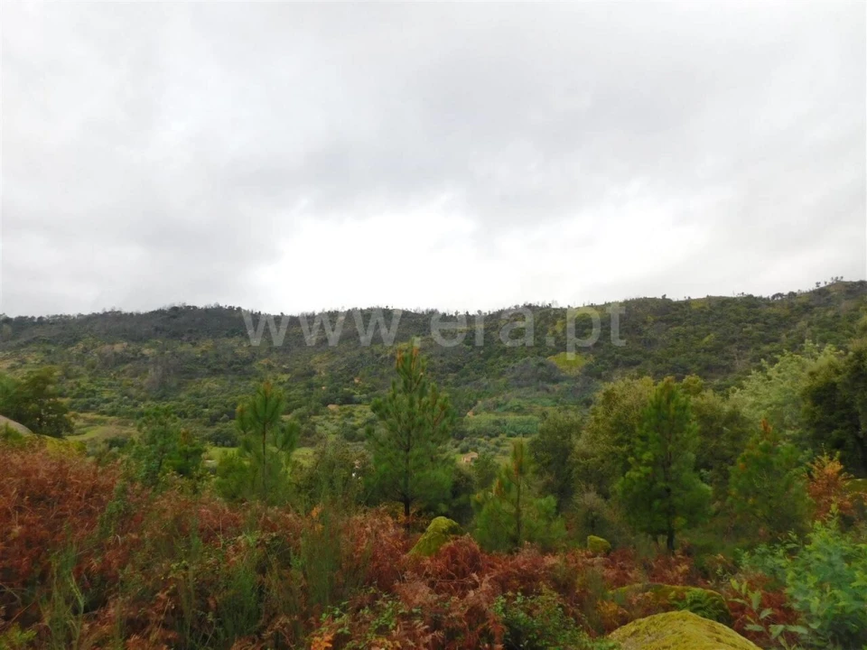 Terreno para Venda em Pero Viseu Foto 5
