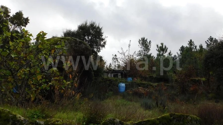 Terreno para Venda em Pero Viseu