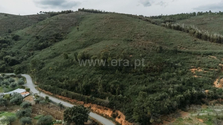 Terreno para Venda em Telhado