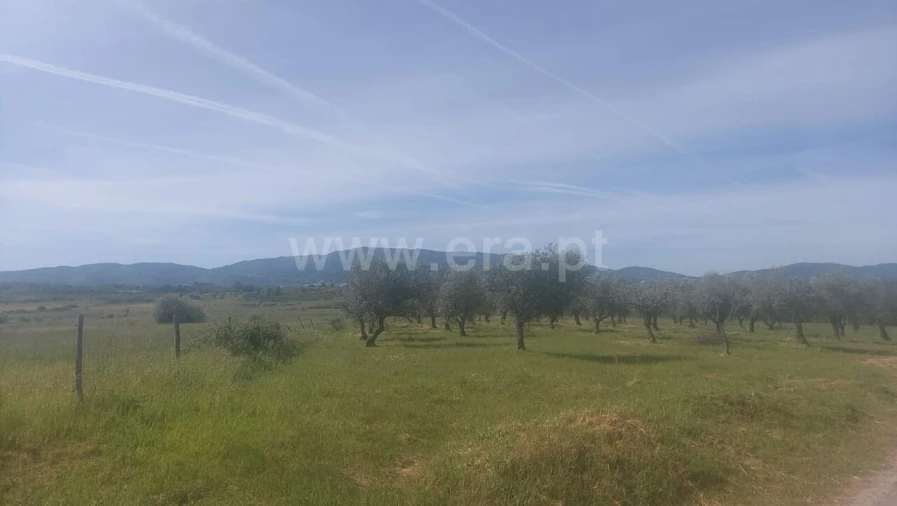 Terreno para Venda em Alcaria Foto 2