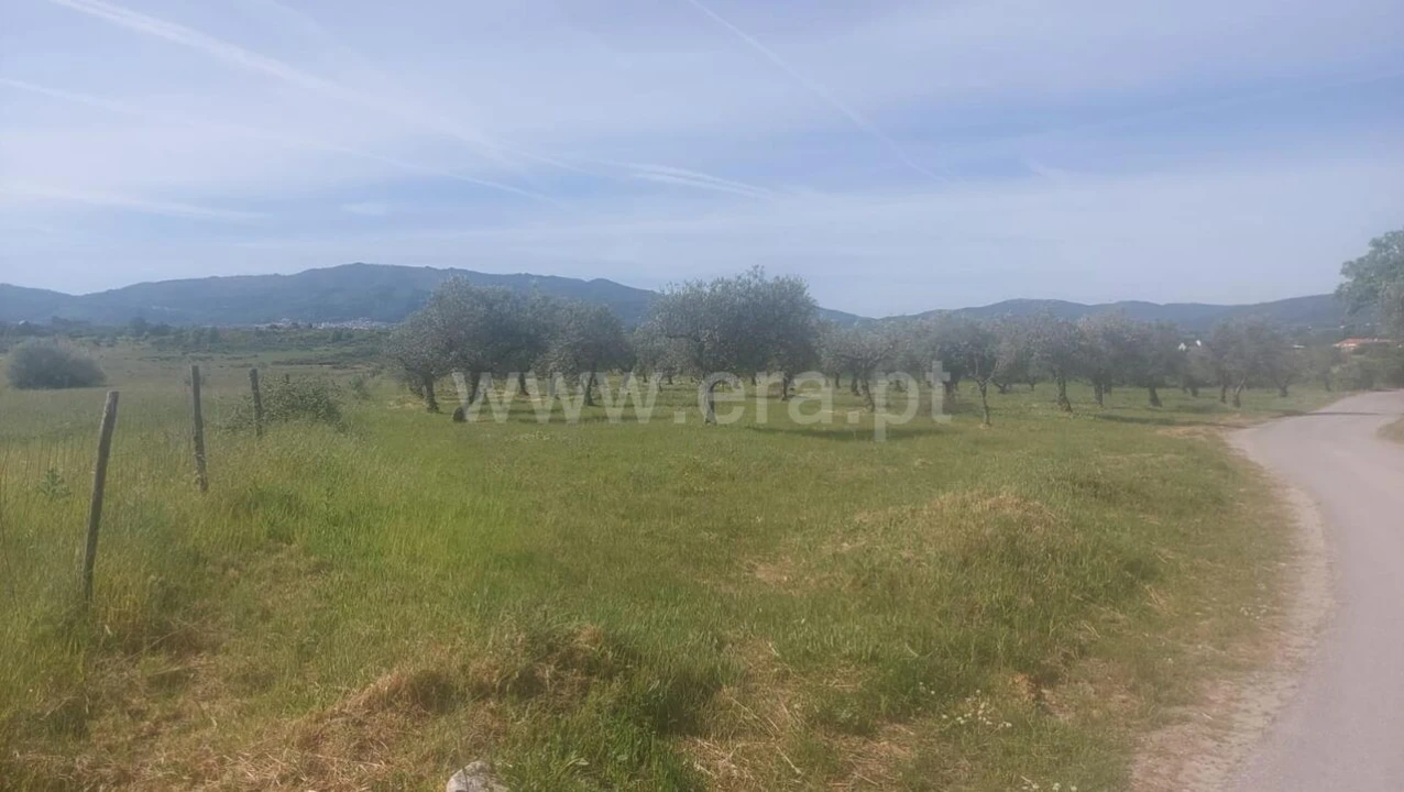 Terreno para Venda em Alcaria Foto 3