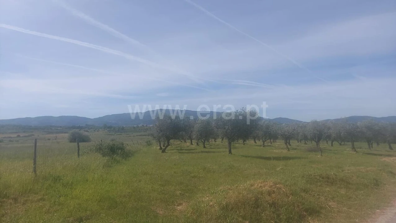 Terreno para Venda em Alcaria Foto 2