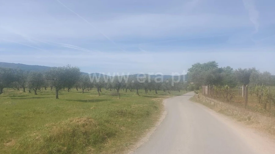 Terreno para Venda em Alcaria