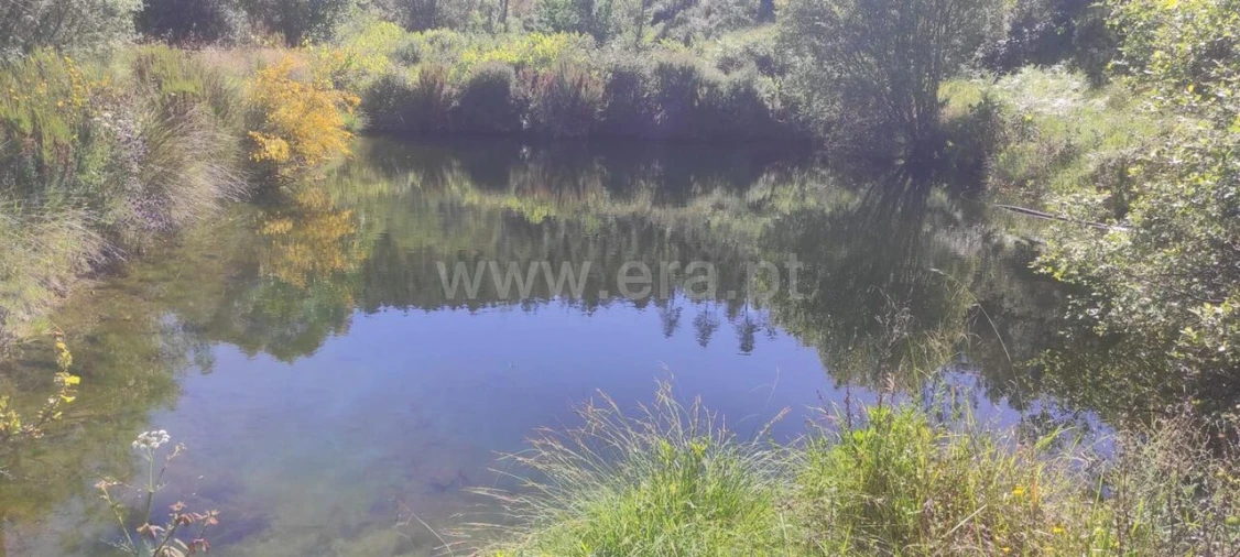 Quinta T0 para Venda em São Vicente da Beira Foto 10