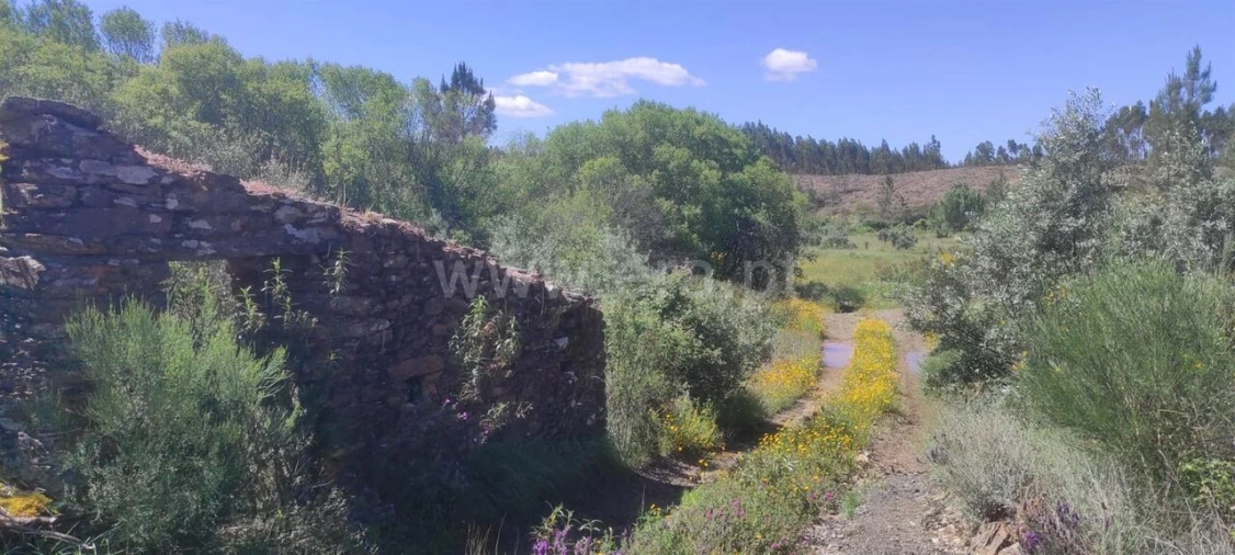 Quinta T0 para Venda em São Vicente da Beira Foto 2