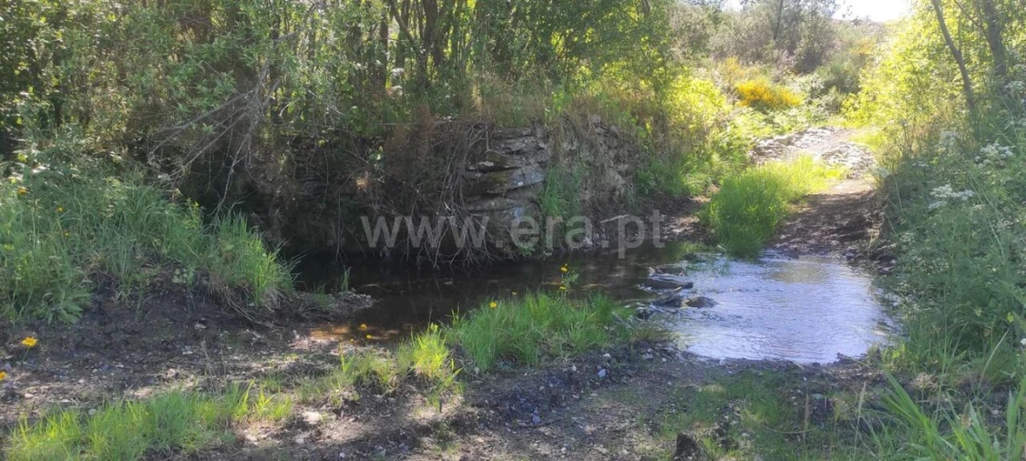 Quinta T0 para Venda em São Vicente da Beira Foto 4