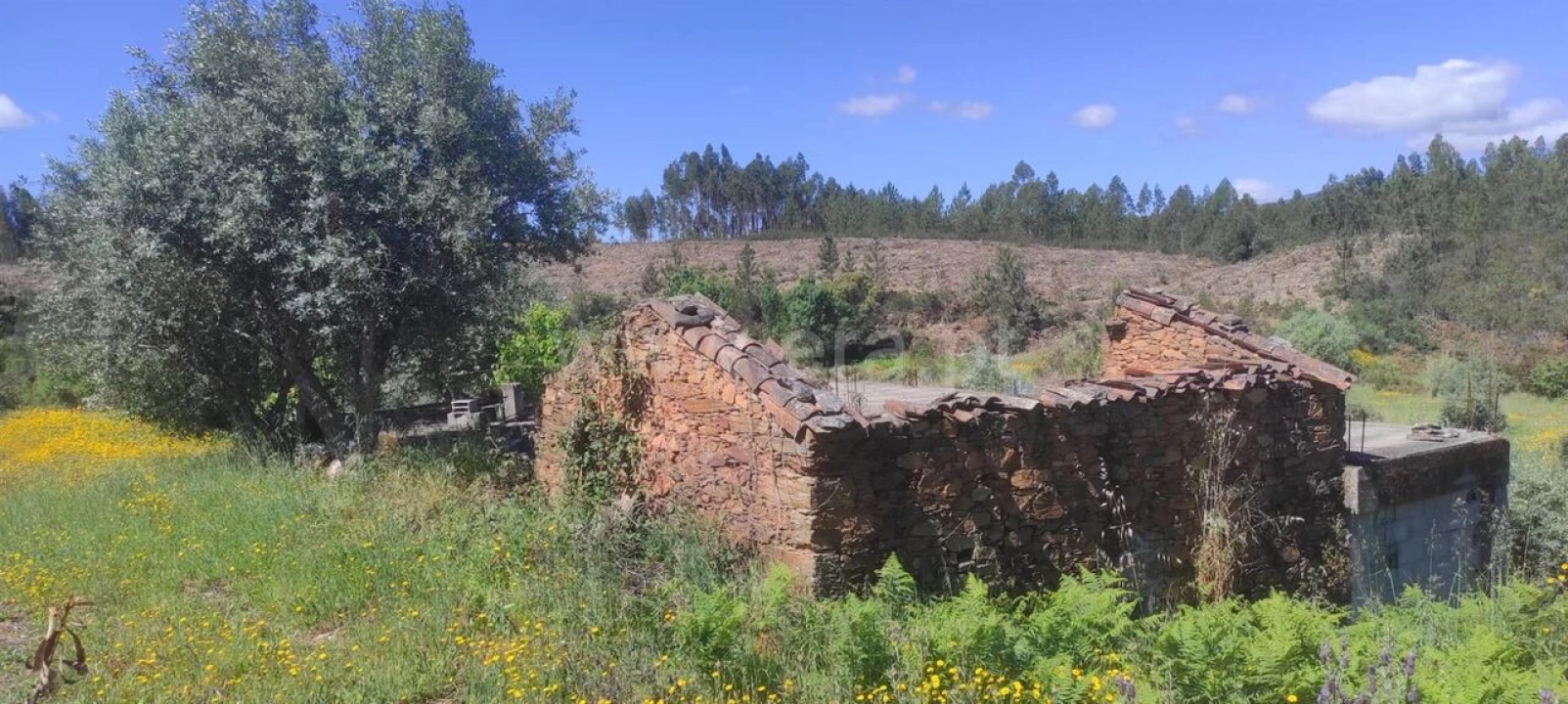 Quinta T0 para Venda em São Vicente da Beira Foto 1