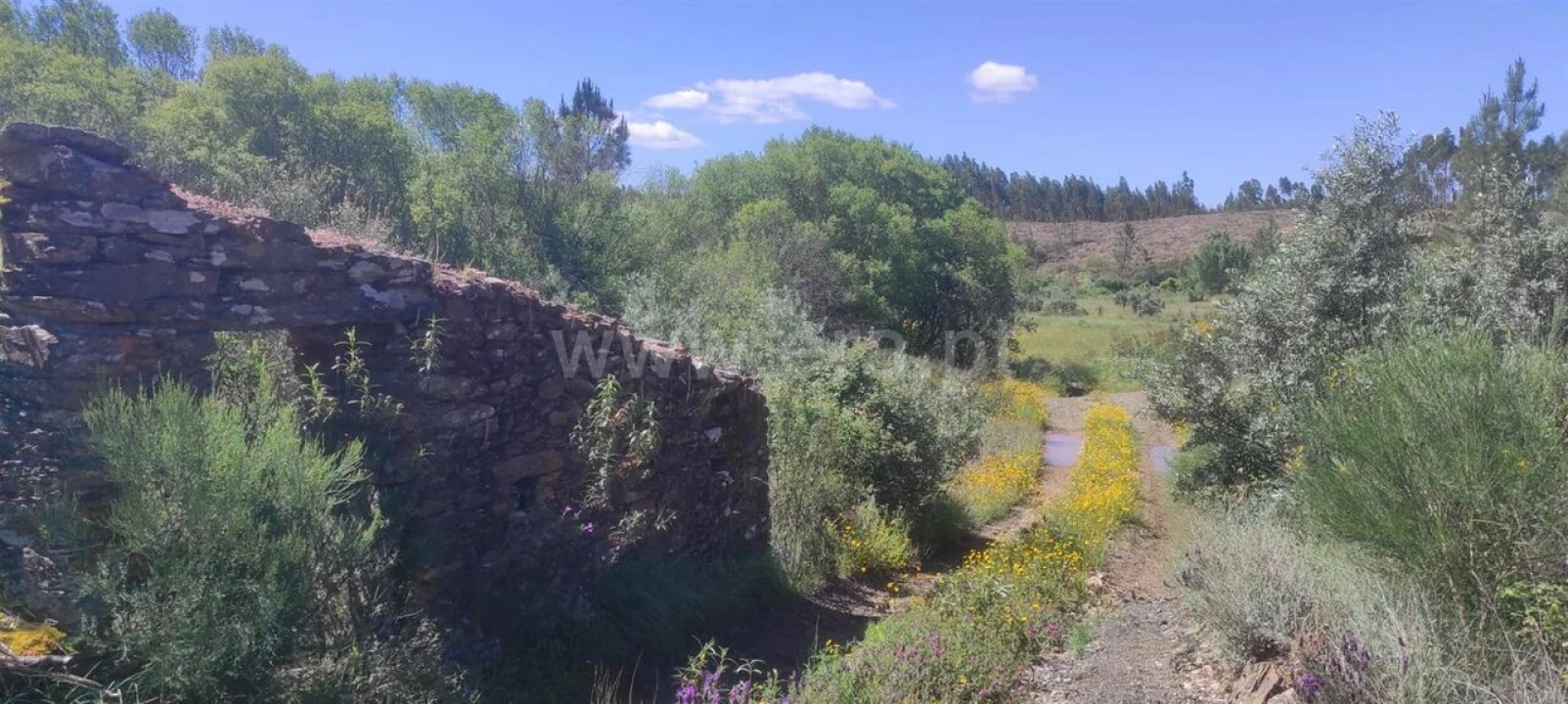 Quinta T0 para Venda em São Vicente da Beira Foto 2