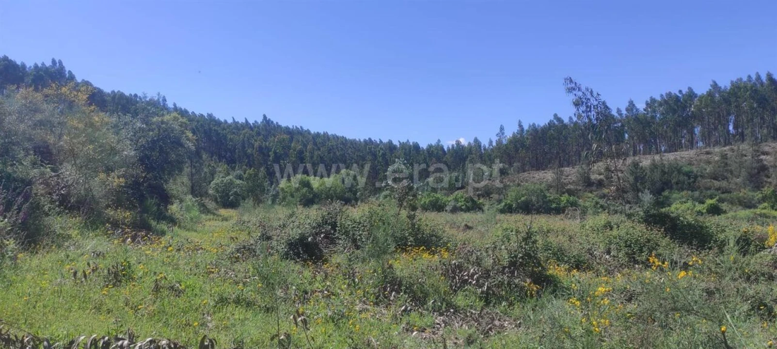 Quinta T0 para Venda em São Vicente da Beira Foto 8