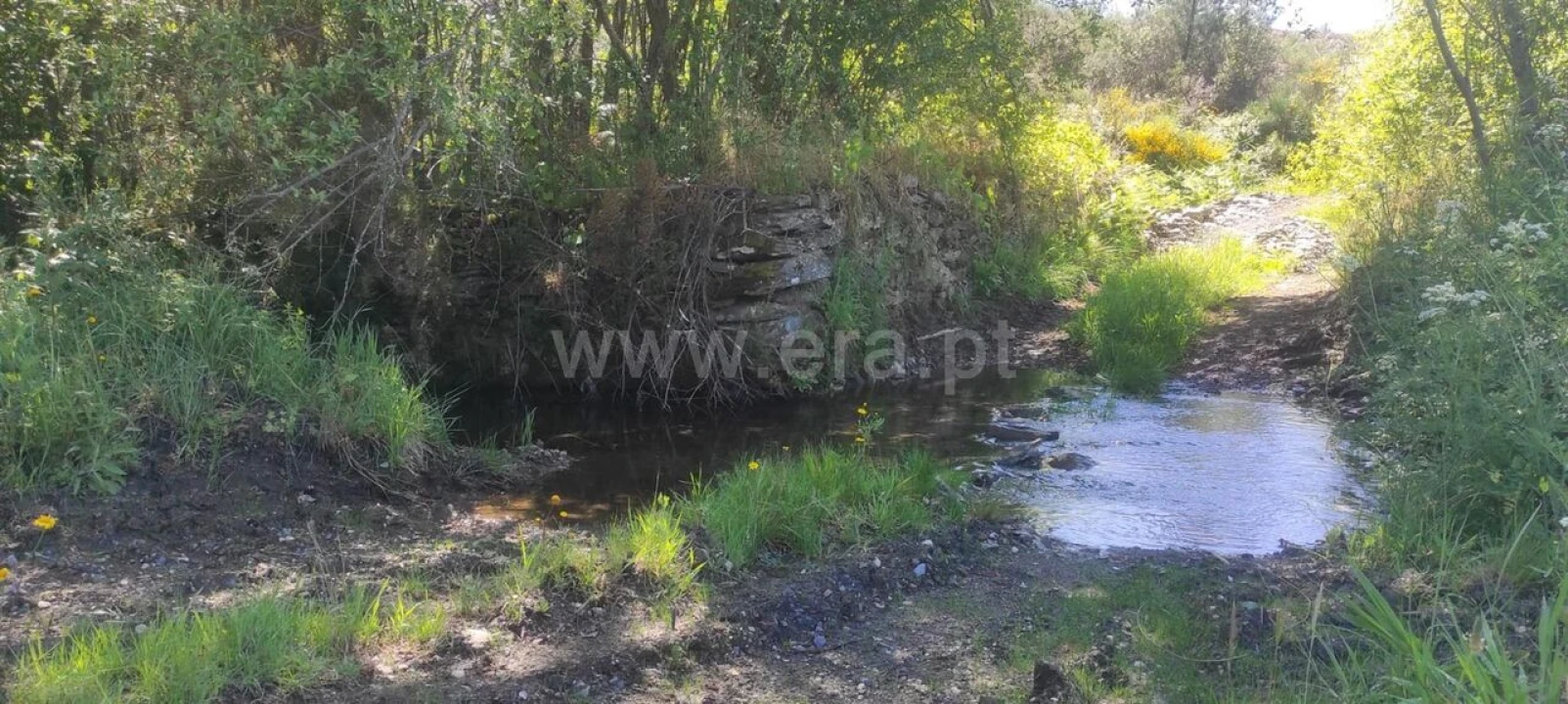 Quinta T0 para Venda em São Vicente da Beira Foto 4