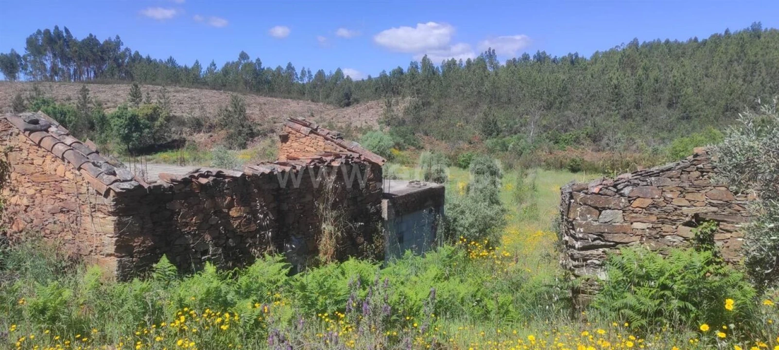 Quinta T0 para Venda em São Vicente da Beira Foto 6