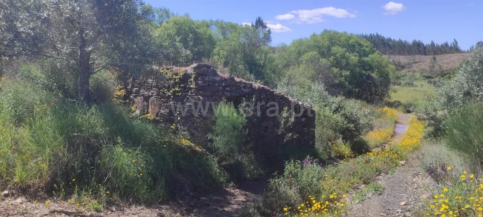 Quinta T0 para Venda em São Vicente da Beira Foto 5