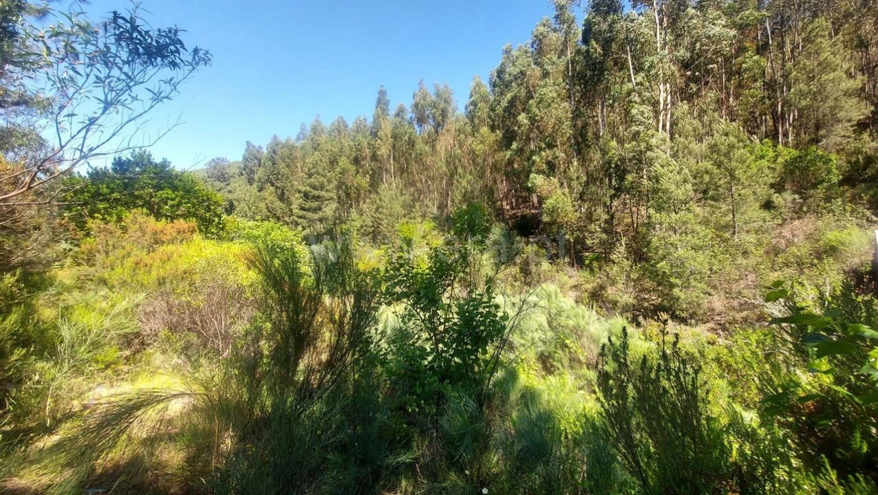 Terreno para Venda em Bogas de Cima Foto 9