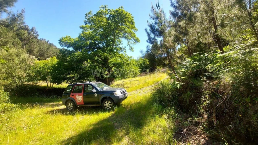 Terreno para Venda em Bogas de Cima Foto 7