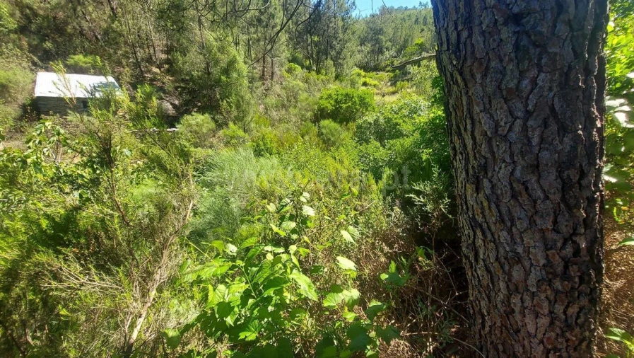 Terreno para Venda em Bogas de Cima Foto 2
