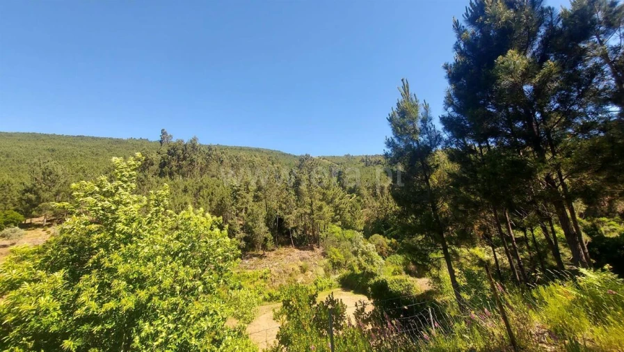 Terreno para Venda em Bogas de Cima Foto 12
