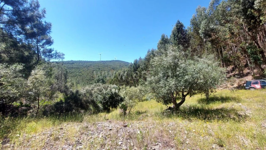 Terreno para Venda em Bogas de Cima Foto 8