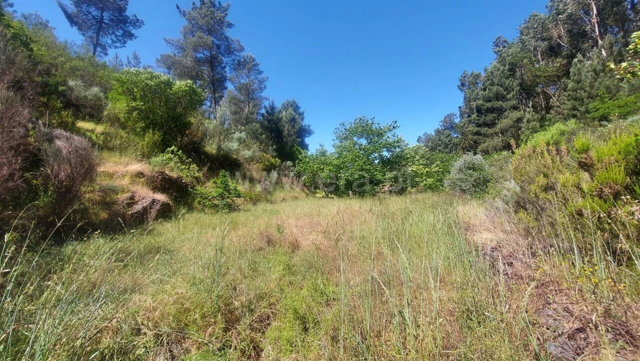 Terreno para Venda em Bogas de Cima Foto 3