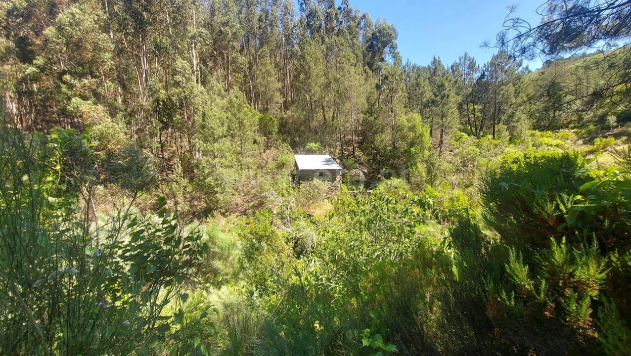 Terreno para Venda em Bogas de Cima Foto 11