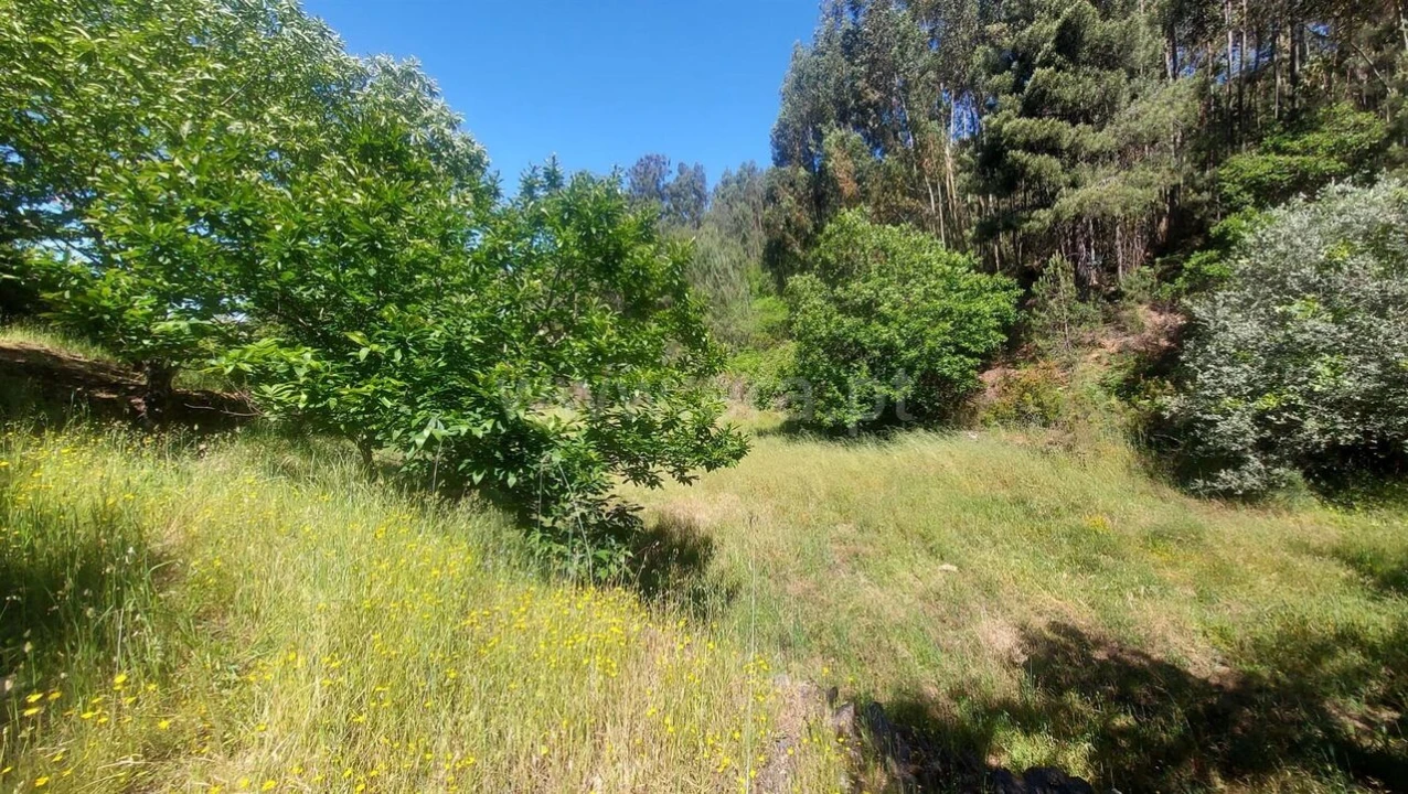 Terreno para Venda em Bogas de Cima Foto 10