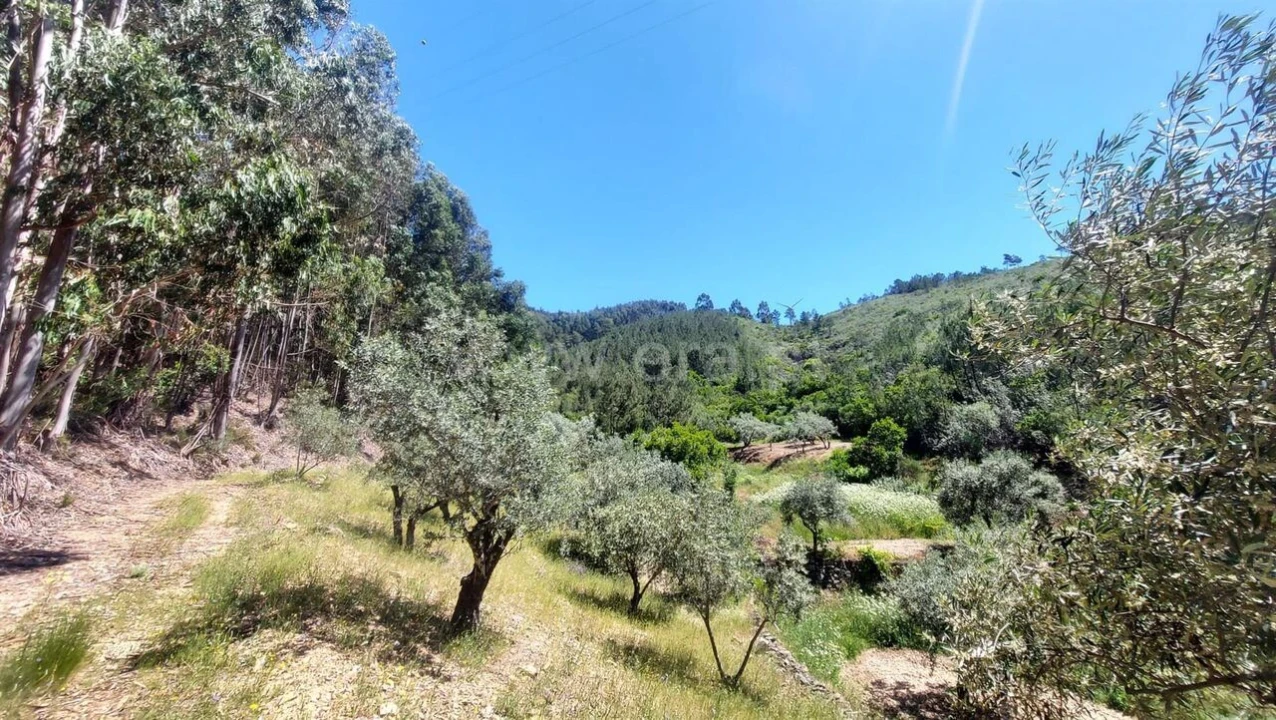 Terreno para Venda em Bogas de Cima Foto 4