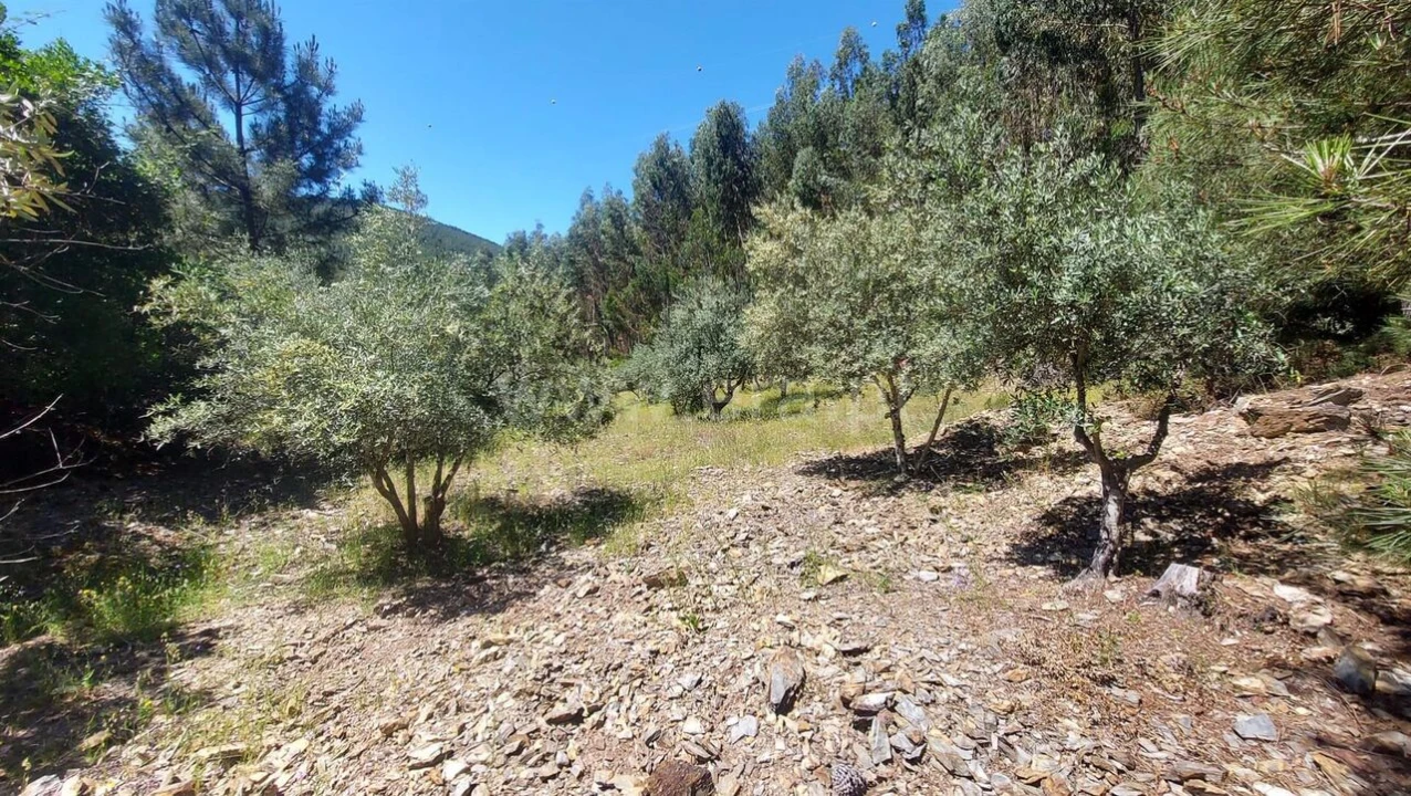Terreno para Venda em Bogas de Cima Foto 6