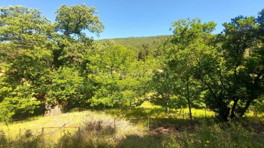 Terreno para Venda em Bogas de Cima