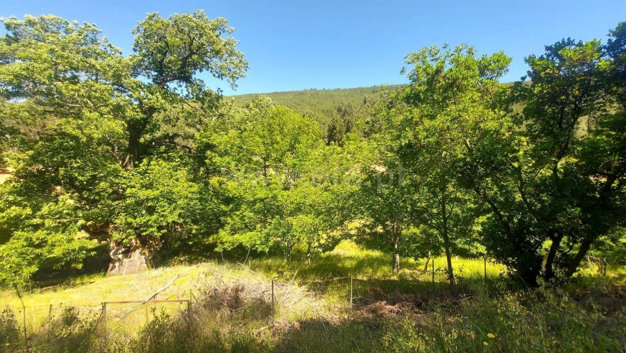 Terreno para Venda em Bogas de Cima Foto 1