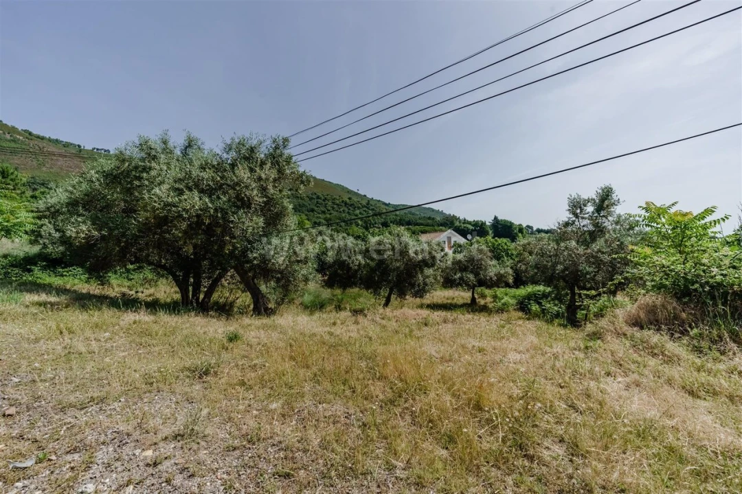 Terreno para Venda em Alpedrinha Foto 3