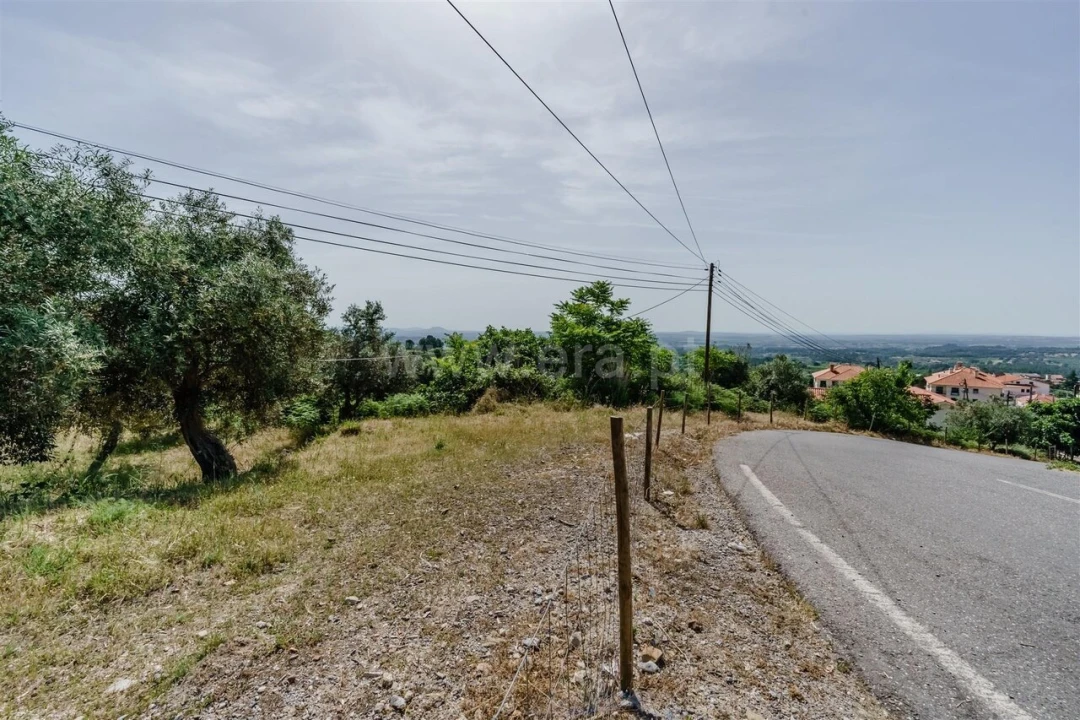 Terreno para Venda em Alpedrinha Foto 4