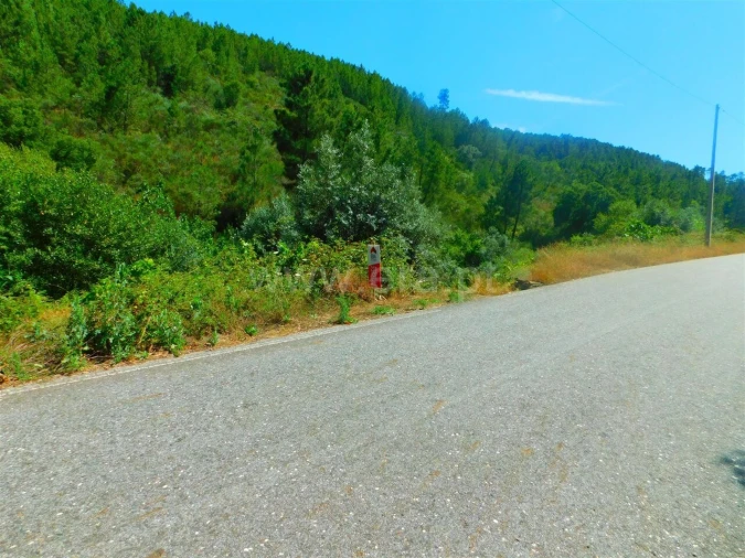Terreno para Venda em São Vicente da Beira Foto 5
