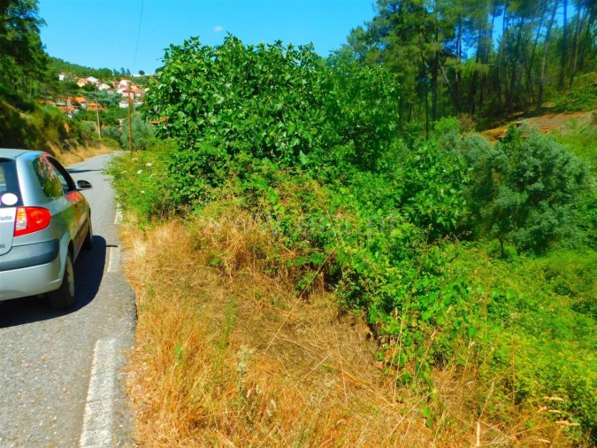 Terreno para Venda em São Vicente da Beira Foto 2