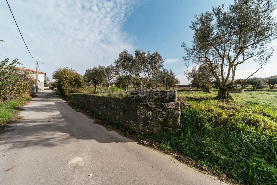 Terreno para Venda em Alcaria Foto 2