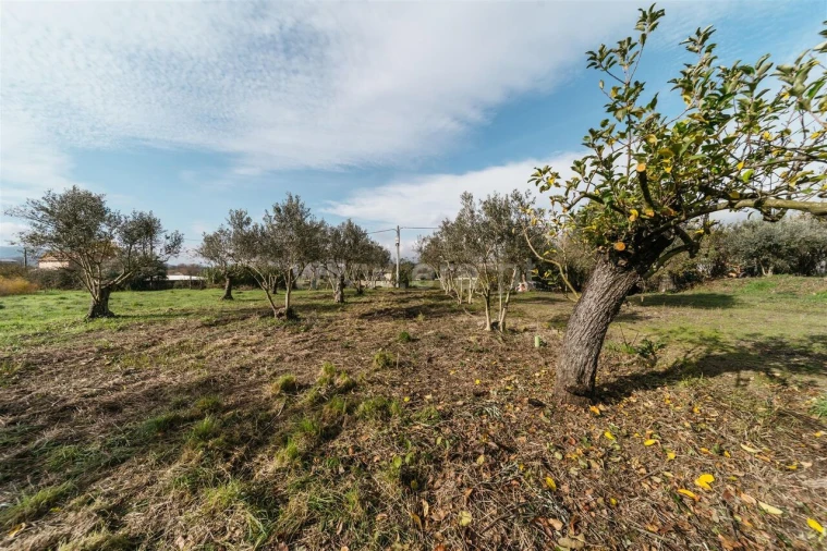 Terreno para Venda em Alcaria Foto 5