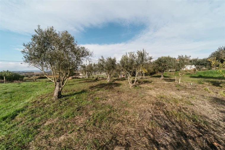 Terreno para Venda em Alcaria Foto 4