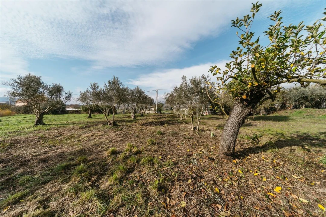 Terreno para Venda em Alcaria Foto 5