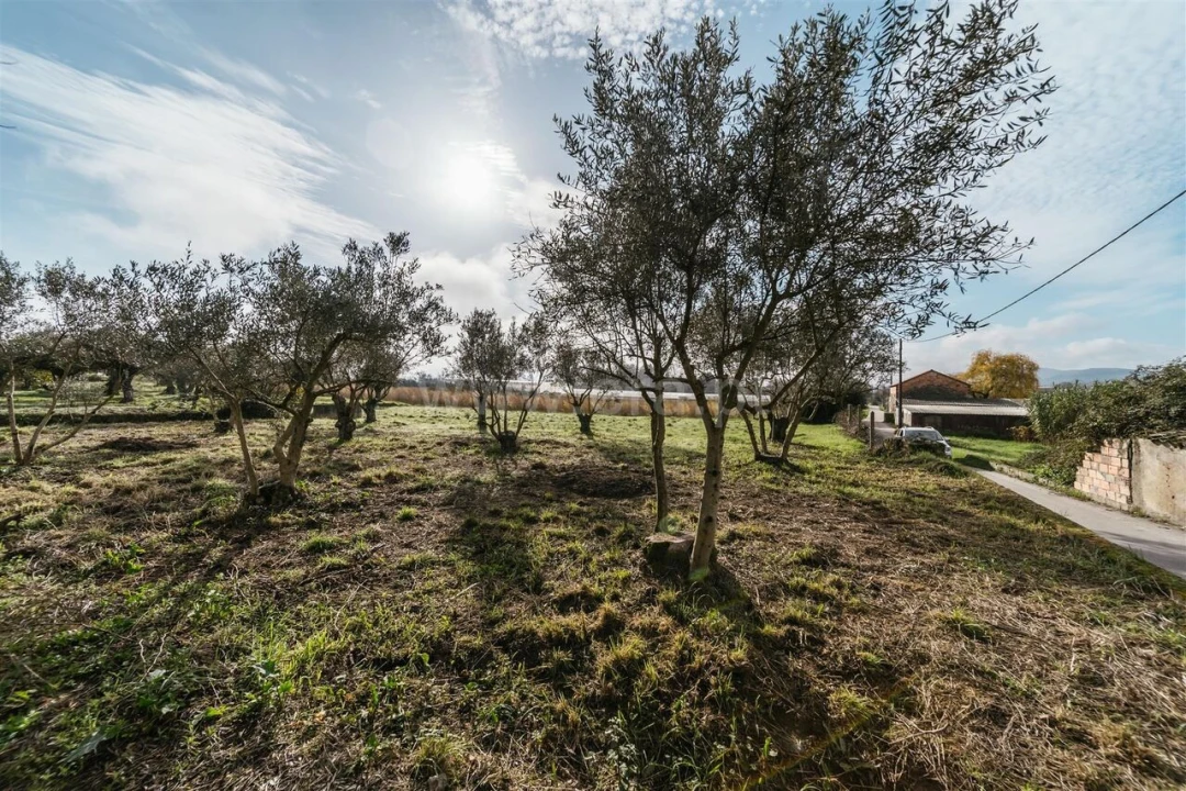 Terreno para Venda em Alcaria Foto 3